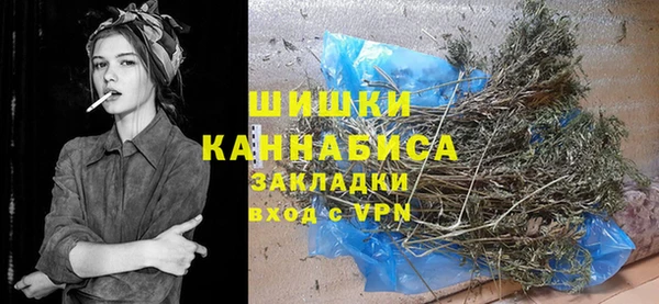 ГАЛЛЮЦИНОГЕННЫЕ ГРИБЫ Аркадак