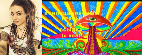 ГАЛЛЮЦИНОГЕННЫЕ ГРИБЫ Аркадак