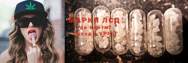 ГАЛЛЮЦИНОГЕННЫЕ ГРИБЫ Аркадак