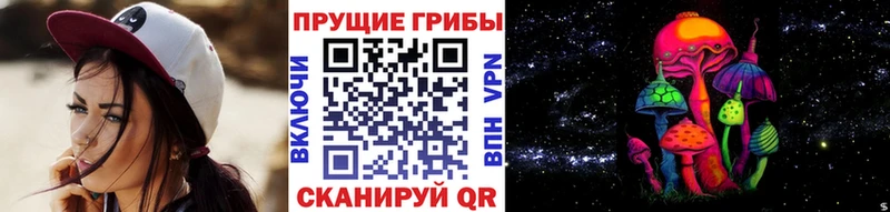 Псилоцибиновые грибы Cubensis  ОМГ ОМГ ссылки  Лабинск 